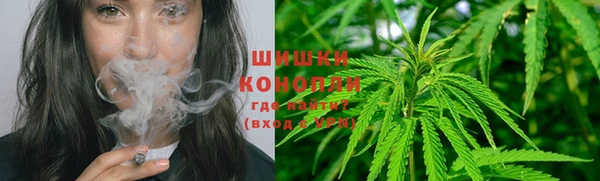 прущая мука Бородино