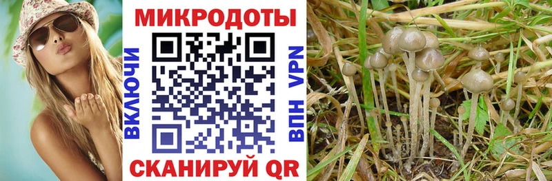 Галлюциногенные грибы ЛСД  даркнет формула  Кириши 